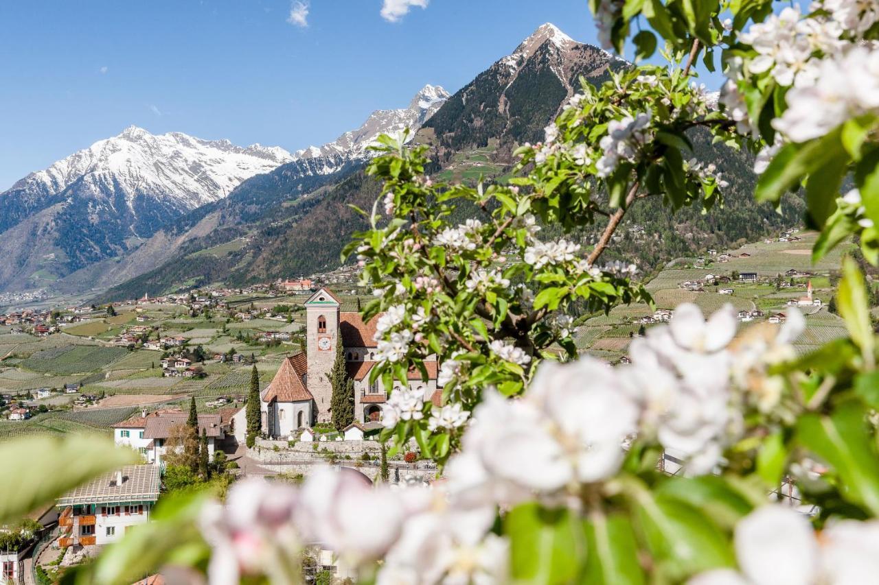 Hotel Rosengarten Schenna Dış mekan fotoğraf